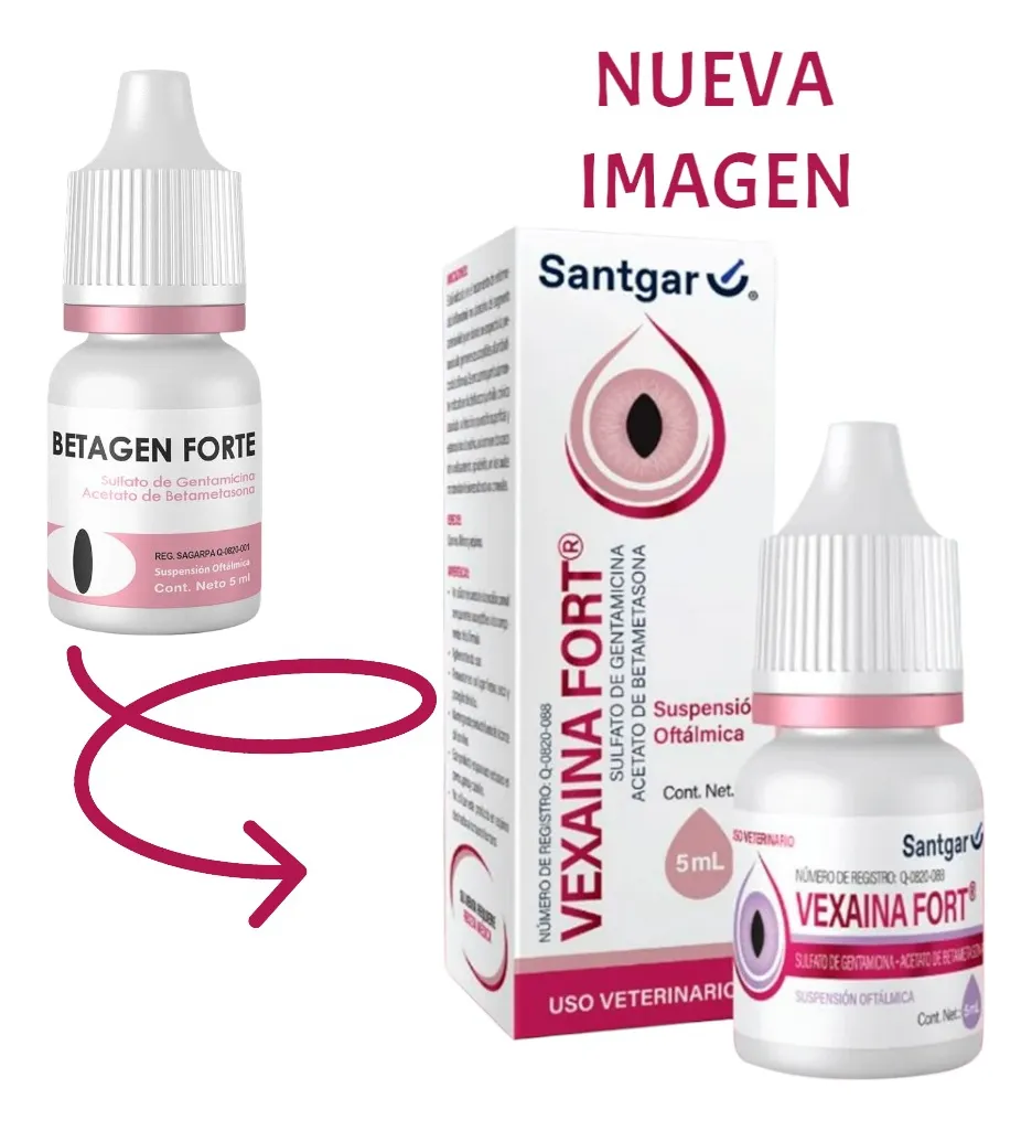 Vexaina-forte