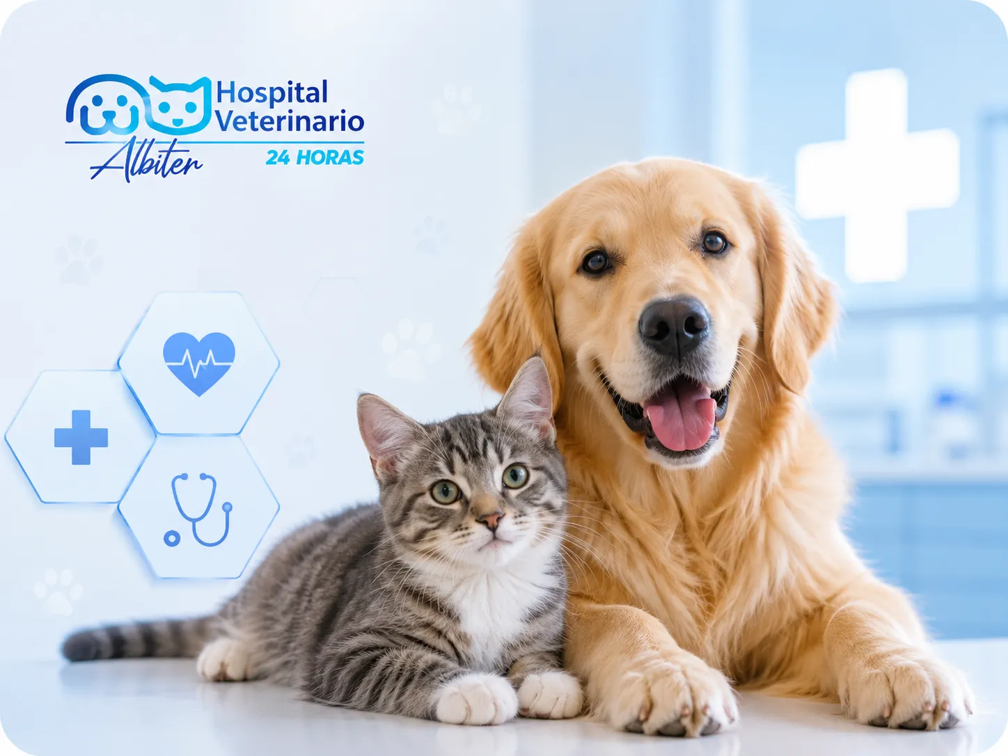 Respaldo Médico Integral para tu Peludo