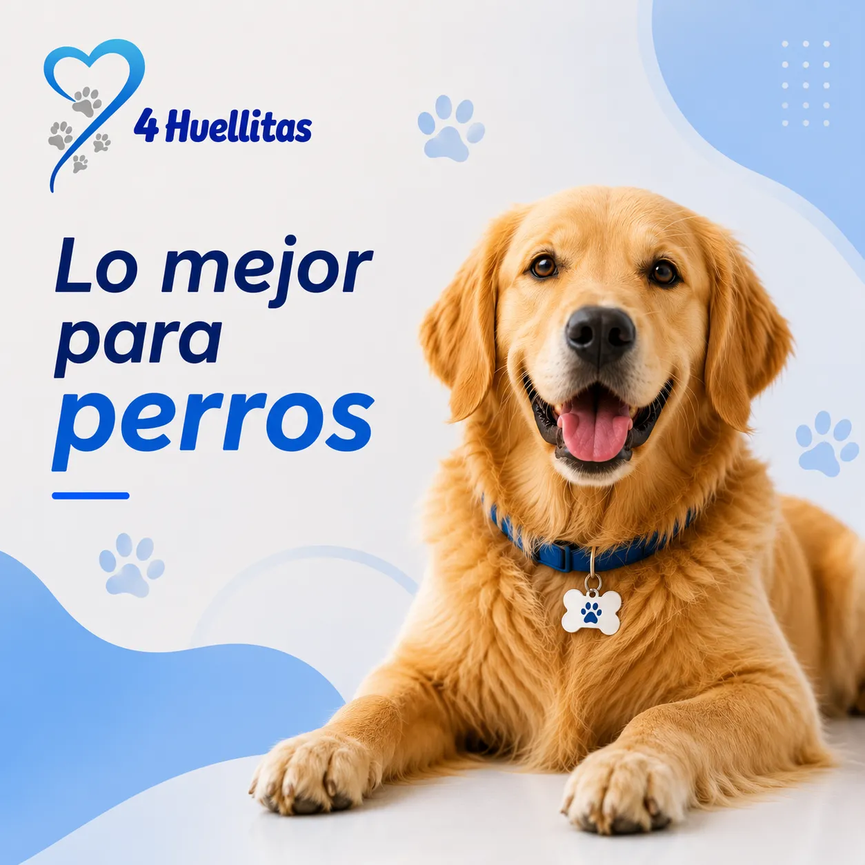 ¡El juego con nuestras nuevas adiciones!
