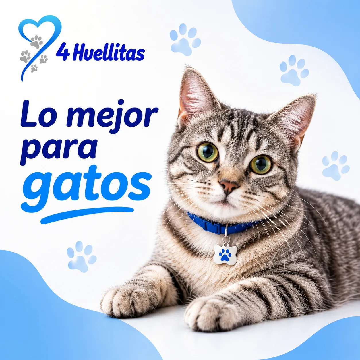 ¡El juego con nuestras nuevas adiciones!