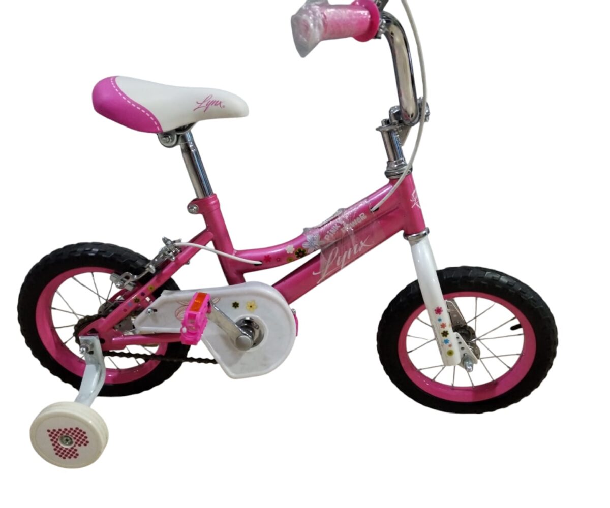 BICICLETA LINX INFANTIL R12