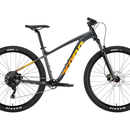 BICICLETA KONA LAVA DOME MONTAÑA R29 1x9V GRIS TALLA: M