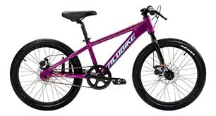 BICICLETA ALUBIKE MTB SIERRA 20 COLOR PÚRPURA ALUMINIO 1V